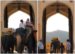 AmberFort_Jaipur2
