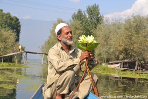 Boatman_lotus