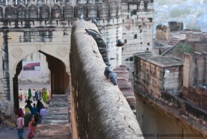 MehrangarhFort_Jodphur4