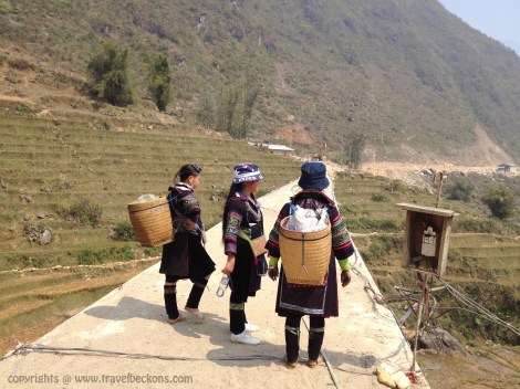 Sapa travel guides