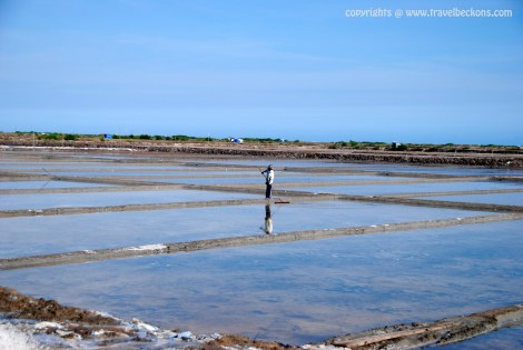 Salt Farm