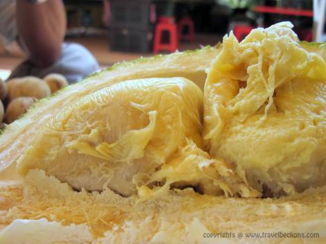 Durian, Tangkak, Johor