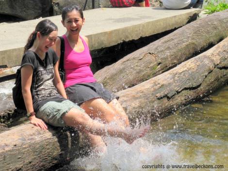 Ledang Waterfall, Johor