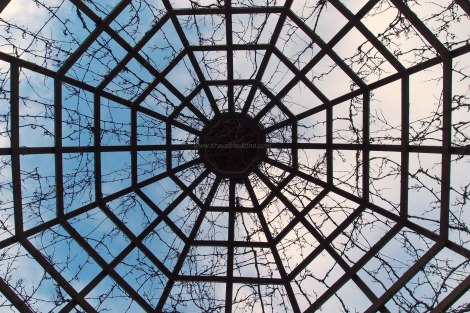 LookingUp_HamiltonGarden_TB