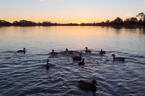 sunset at hamilton lake