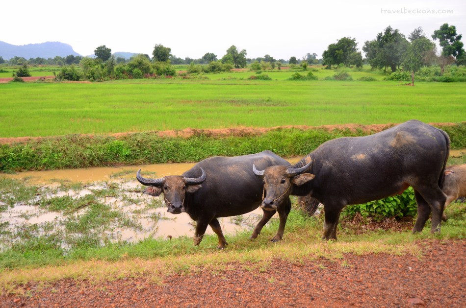 Battambang_Travelbeckons3