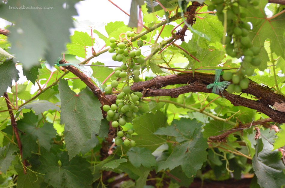 travelbeckons_battambang009