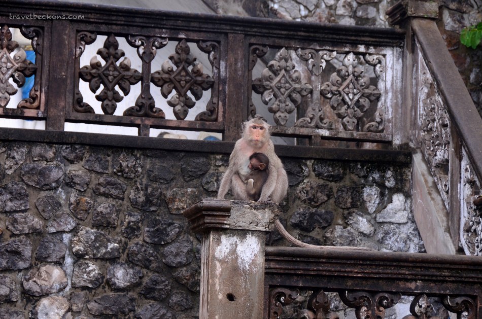 travelbeckons_battambang018