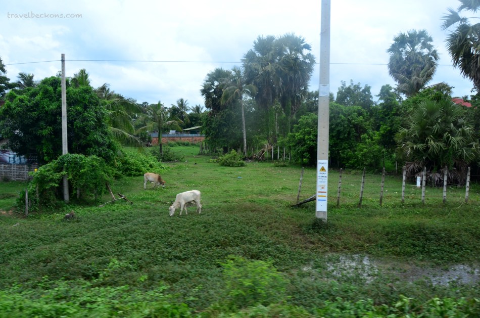 travelbeckons_tipsrep3