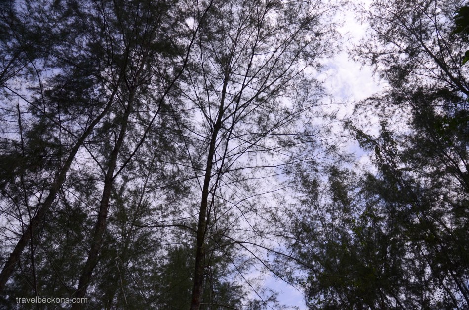 coneyisland_sg_travelbeckons3