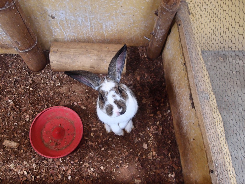 Explore Quindio: An Agricultural Theme Park named PANACA – Travel Beckons