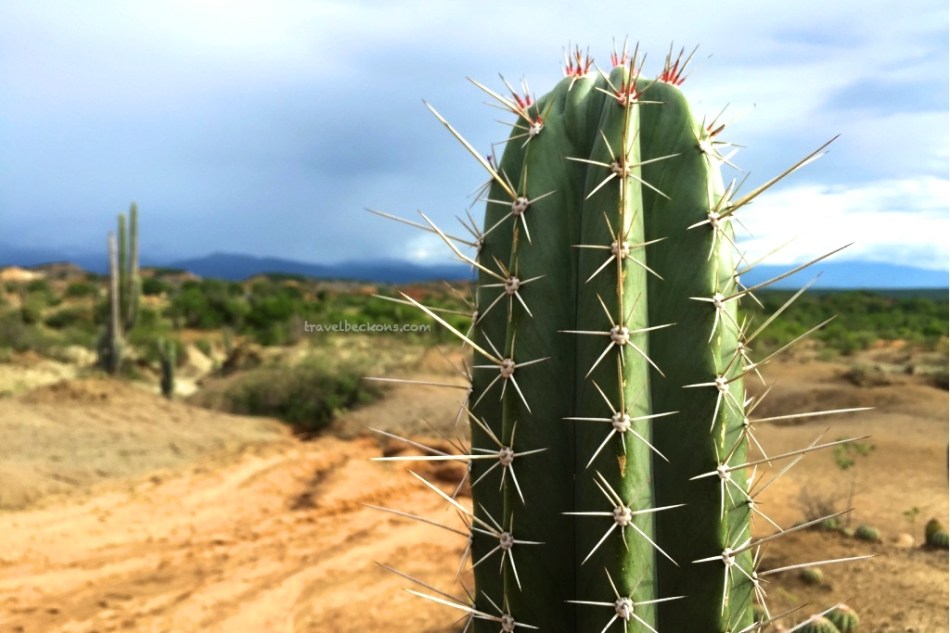 tatacoa_colombia_travelbeckons14