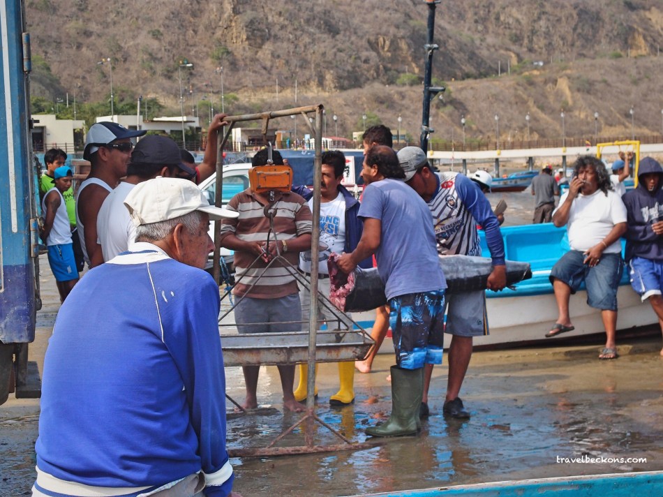 travelbeckons_fishmarket_puertolopez