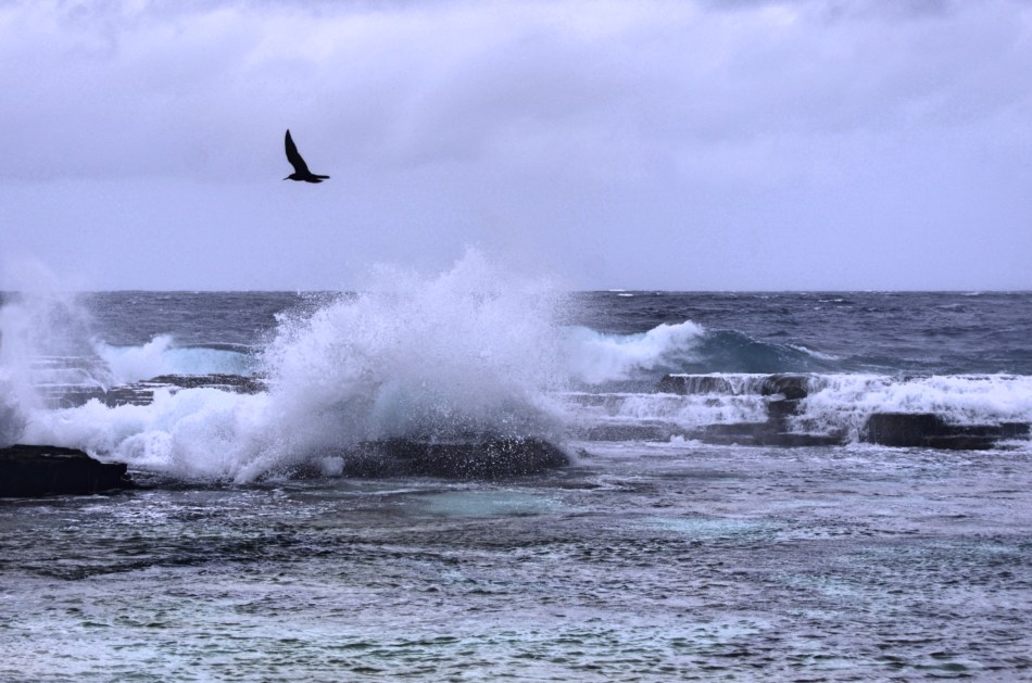 travelbeckons_tonga_kaz_2016_3
