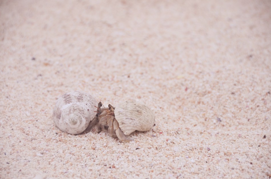 travelbeckons_tonga_kaz_2016_vavau_2