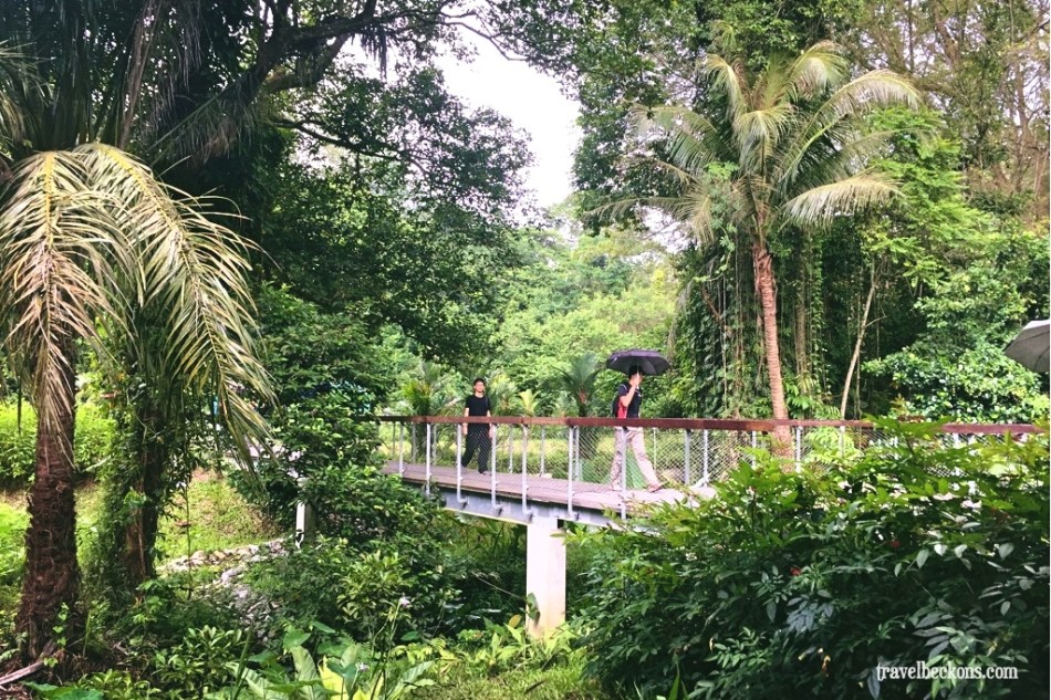 LoveMacRitchie_Singapore_TravelBeckons6