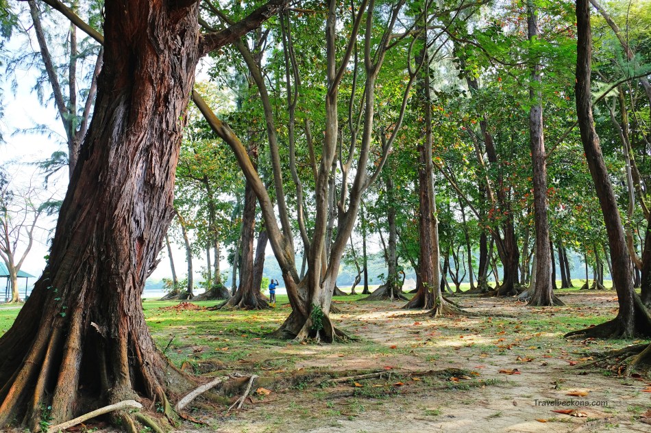 SouthernIslands_TB17