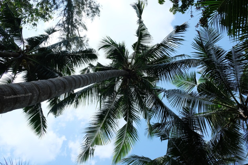 SouthernIslands_TB32