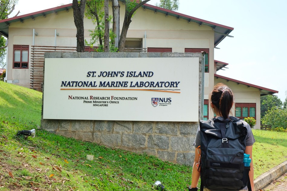 SouthernIslands_TB37